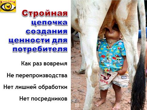 Стройное производство - бизнес-юмор - корова дает молоко ребенку, шутки, смешная картинка