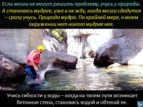 Вадим Котельников мудрость природы Учись гибклсти у воды